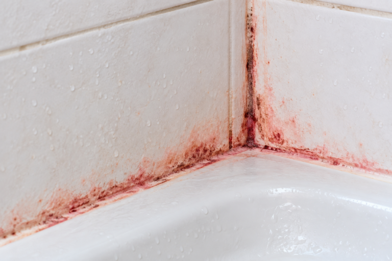Red mold growing on bathroom shower grout